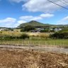 九州人♂ (LV42 平戸市と福岡県と鳥栖市を行ったり来たり)'s profile picture