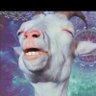 Malfoy's profile picture