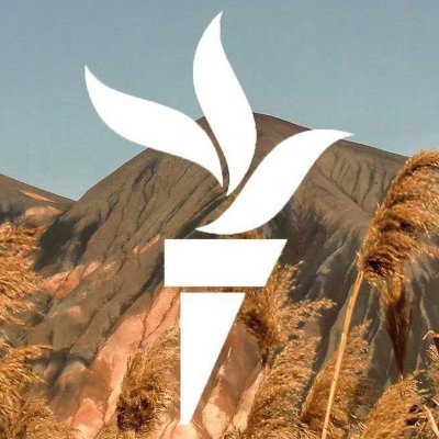 donbassrealii's profile picture