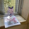 からあげ゚ 的头像