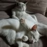 あーる profil fotoğrafı