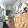 しばお 的头像