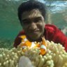 rppb's profile picture
