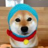 コニカ実る太's profile picture