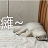yuanyi profil fotoğrafı