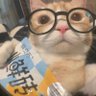 AikDlry #JENCHELLA #LISCHELLA's profile picture