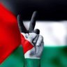 Profilbild von Tamer Mahmoud