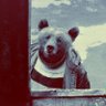 Gestatten Sie mir die Frage, profil fotoğrafı