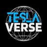 Teslaverse's profile picture