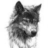 Фото профиля Blake