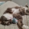 EllaOwenLeeloo profil fotoğrafı