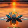 Фото профиля T.manjunath