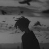 Limexo 的头像