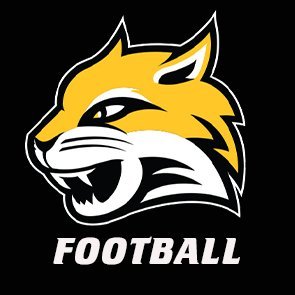 WayneStFootball's profile picture