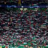 GaryD 🍀🇮🇪🍀🇵🇸🇵🇸🇵🇸 的头像