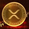 XRP FREEDOM's profile picture