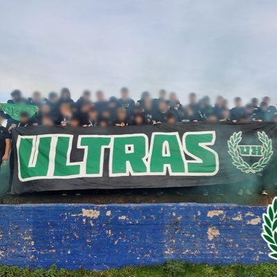 hibsasfuckbtw's profile picture