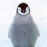 Profilbild von Human