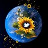 Наталья's profile picture
