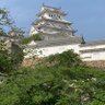 ももりん 的头像