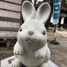 まうさぎ 的头像