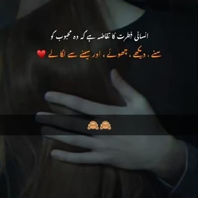 shemale lover's profile picture
