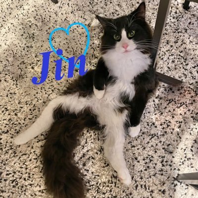 J_Yuta_Number_i's profile picture