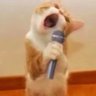 Profilbild von 猜猜