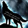 Profilbild von ابو جهيمان