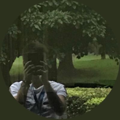 koba82memo's profile picture