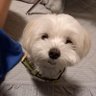 そらたろ's profile picture
