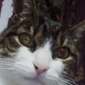 Profilbild von Richard