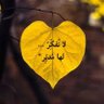 شتا وصيف profil fotoğrafı