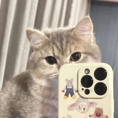หนูชอบคราง(ทวิตจริง)'s profile picture