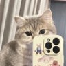 หนูชอบคราง(ทวิตจริง)'s profile picture
