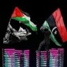 ramez ali's profile picture