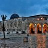 رافع البرعصي 的头像