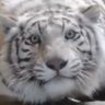 EKITOK's profile picture
