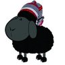 Profilbild von GT
