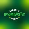 Shaggy’s Boombastic Radio 的头像