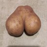 Maciej's profile picture