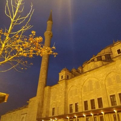 🇹🇷 Rahime Seyhan's profile picture