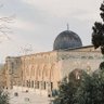 Фото профиля أم عبد اللّه