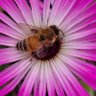 BitsworthMcGee profil fotoğrafı