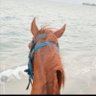 هبه ✨'s profile picture