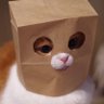 Profilbild von -Al-