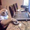 Mezzi's profile picture