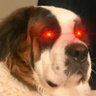 Profilbild von Bitcoin