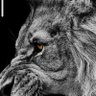 Dyktator profil fotoğrafı
