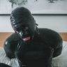 SteelRubber 的头像